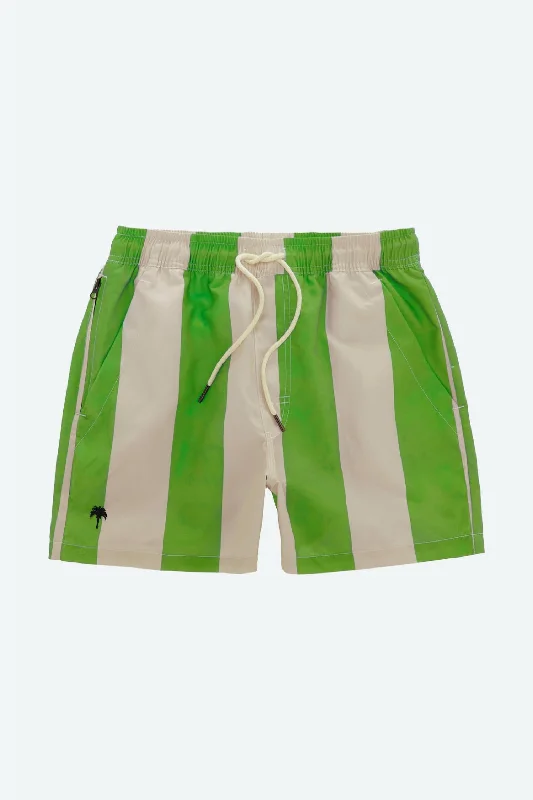 Swim Shorts In Emerald Stripe